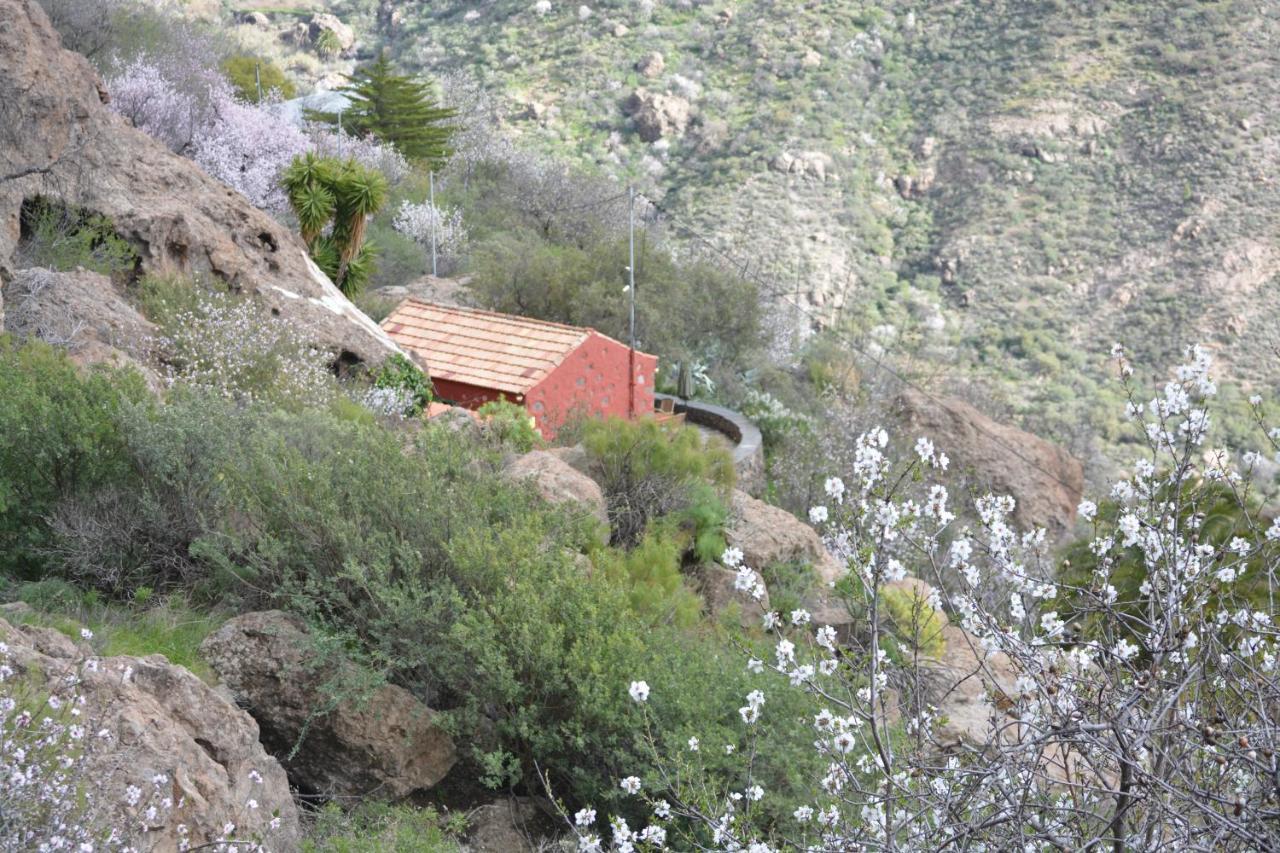 Villa Casa Cueva El Pedregal Tejeda Extérieur photo